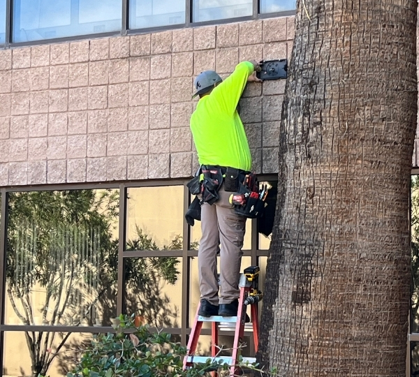 Your Trusted Electrician in Tucson, AZ
