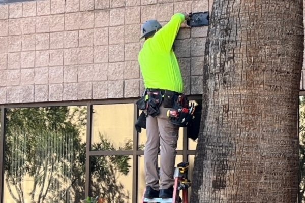 Commercial Electrical Troubleshooting
